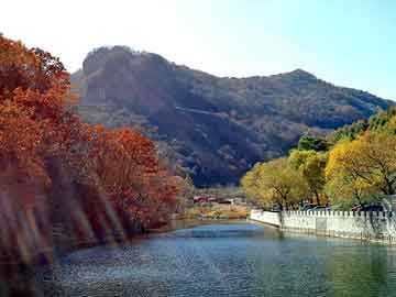 澳门天天免费精准大全，天涯 台湾